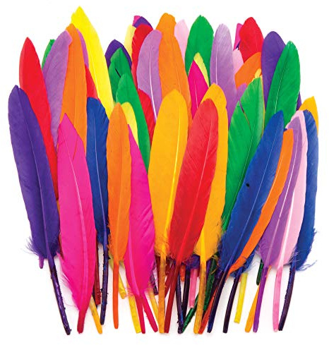 Baker Ross AR245 Mini Quill Feathers Value Pack — Ideal for Kids' Arts and Crafts, Sensory Stimulation, and More (Pack of 80), Assorted, 13cm