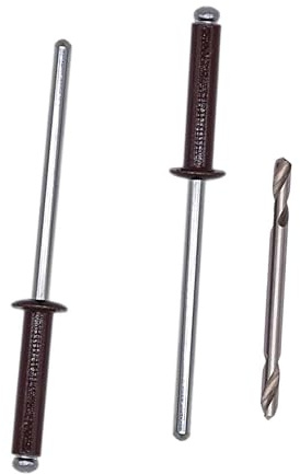 SKIR'CO 100 rivetti ciechi verniciati, 3,2 x 16 mm, in alluminio, DIN 7337, mandrino in acciaio, rivetti pop, punta da trapano inclusa (marrone cioccolato RAL 8017)