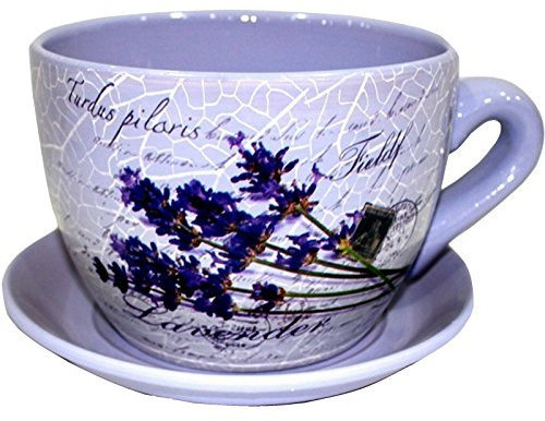 Gr8 Garden Decorative Novelty Terracotta Tea Cup and Saucer Shaped Garden Patio Flower Planter Plant Pot Tub (Large Floral Purple Flower)