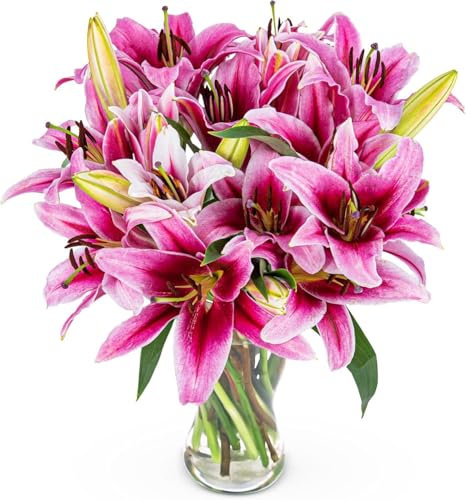 Lys observateur d'étoiles - Fleurs fraîches pour le lendemain - Bouquets d'occasion - Cadeau d'anniversaire - Superbe fleur pour une journée spéciale - Fleurs pour la fête des Mères