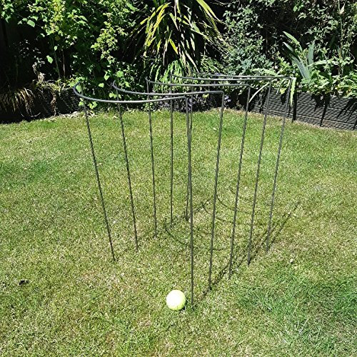 Plant Supports Metal 75cm Tall Medium Curved 6mm mild steel (FIVE PACK) Made in UK. As seen on TV and gardening magazines. Used by professional gardeners.