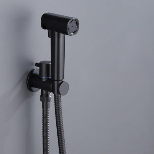 Pulvérisateur de bidet portatif pour toilettes, double modes de pulvérisation, kit de douche mural en laiton pour nettoyage des couches compatible avec alimentation en eau froide (noir)