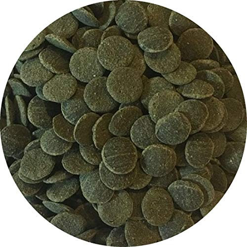 Fischfutter Futtertabletten Wafer MINI Spirulina-Algen Wafers Welstabletten Ø1cm (500ml)