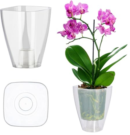 KADAX Pot à fleurs, Pot d'orchidée mince, simple pot de fleurs, seau de fleurs pour orchidée, herbe de garçon, marguerites, décoration pour cuisine et salon (⌀ 12 cm, angulaire, transparent)