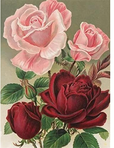 YSCOLOR Diamond Painting Diamantmålning Diy 5D Kit För Vuxna Rosa Röda Blommor Diamantkonstsatser Rund Helborr Diamond Arts 30X40cm