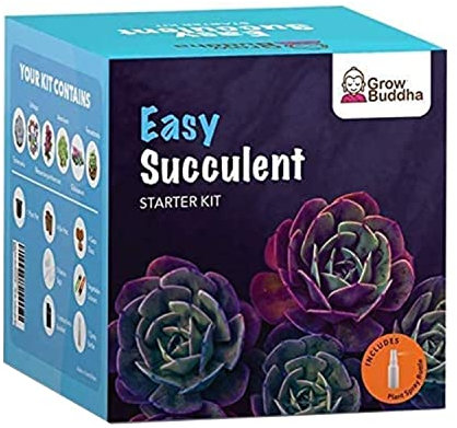 Grow Your Own Succulent kit – Easily Grow 6 Beautiful Varieties of Succulent Plants Live with Our Complete Beginner Friendly Indoor Succulent House Plant Starter kit – Unique Men Women Gifts