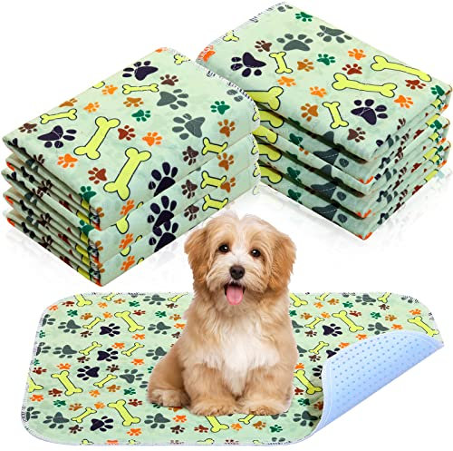 6 Stück Waschbare PIPI Pads für Hunde 60 x 40 cm Wiederverwendbare Welpen Pads Saugfähige wasserdichte Hund Urin Pads Hundematte rutschfeste Trainingsunterlagen Geruchskontrolle für Kleine Haustiere