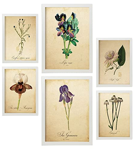 Nacnic Set med 6 vintage blommiga affischer tryck samling collage estetiskt utseende för inomhusdekoration A3 A4 med vit ram