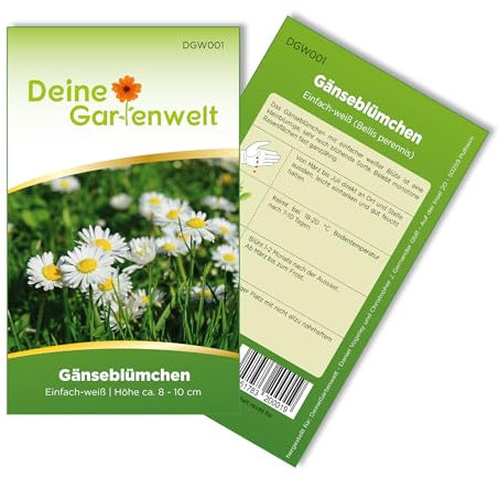 Gänseblümchen Einfach weiß Samen - Bellis perennis - Gänseblümchensamen - Blumensamen - Saatgut für 300 Pflanzen