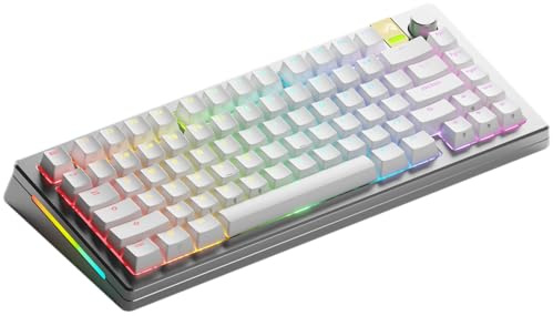 Glorious Gaming GMMK 3 PRO HE 75%: trådlöst gamingtangentbord med dynamiska avtryckare, Hall Effect, aluminiumhölje, 8K uppdateringsfrekvens, utbytbara MX- och HE-brytare, USA QWERTY - Silver