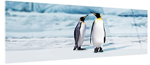 DECLINA, Tableau plexis, impression sur verre acrylique, cadre photo plexi, Tableau plexi panorama PINGOUINS, 80x30 cm