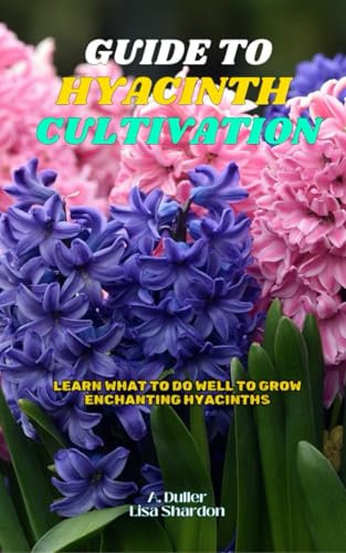 Guide to Hyacinth Cultivation: Learn what to do well to grow enchanting Hyacinths