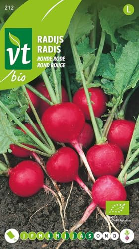 Semillas de rábano rojo redondo - Los rábanos son muy fáciles de cultivar