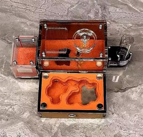 AZHKJKZH Formica Nido Castello degli Insetti Laboratorio Formicaio per Animali Domestici Umidificazione Luce Ombreggiatura Gesso Cemento Fattoria delle Formiche Casette per Formiche(B)