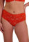 SANS COMPLEXE Femme Arum Slips, Orange Mandarine, 46-48 EU