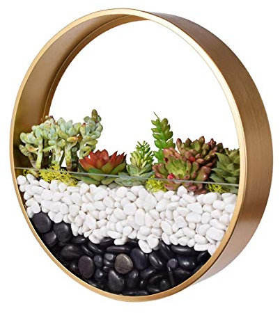 KnikGlass Wandvase Töpfe Glasvase Blumentöpfe Pflanzgefäße Blumen hängend für Pflanzen (Gold)