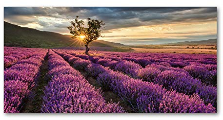 Tulup Impression sur Verre de 120x60 cm Image Tableau Photo décorative panoramique pour la Cuisine et Le Salon - Paysage - Champ De Lavande - Violet