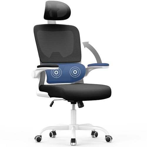 naspaluro Ergonomic Office Chair for Desk with Flip-up Armrests/Lumbar Support/Adjustable Headrest/Metal Claw, Comfy Swivel Heavy Duty Computer Study Chairs, Black Mesh Office Work PC Chair