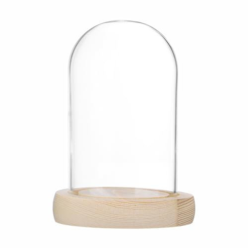 M METERXITY Campana de Cristal, 3.9x2.4 Cúpula de Cristal con Base de Madera para Hacer Bolas de Nieve DIY/Pequeñas Plantas/Flores/Velas/Modelos/Souvenirs, Centro de Mesa [Madera]