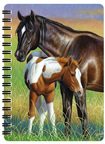 3D LiveLife Jotter - Sto Och Föl från Deluxebase. Linskulär 3D Häst A6 Spiralbok med vanligt återvunnet papper. Konstverk licensierat från den kända konstnären Cynthie Fisher.