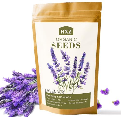 Premium Englische Lavendelsamen - Über 10.000 Samen für die Anpflanzung im Innen- und Außenbereich - Ideale Blumensamen für Hausgärten