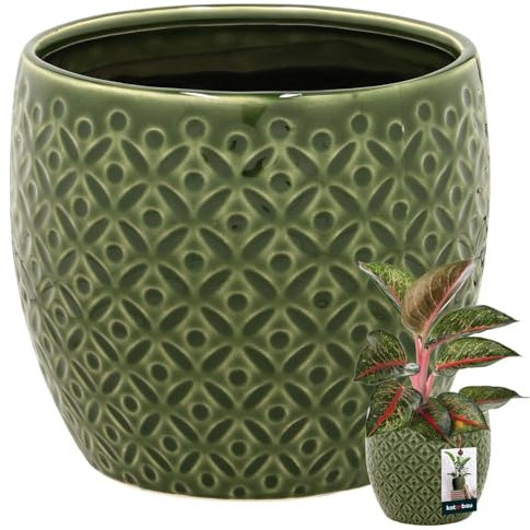 KOTARBAU® Pflanzentopf Grün ⌀ 14 cm Höhe: 13 cm Glasierte Keramik Blumentopf groß Plant Pot Kaktus Topf Übertopf Blumentöpfe