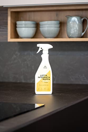 Sargon Rimuove la Muffa, 100% Inodore - Igienizza Muri e Pareti di Casa - Sicuro e Atossico - 500ml