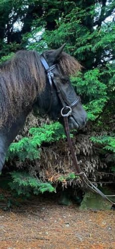 Very Pretty Pony & Small Pony Dainty Flash Bridle with Soft Rubber Reins Black / Pony