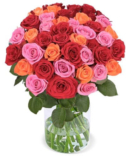 Blume Ideal Rosenstrauß - 50 Rosen in Rot/Orange/Pink - Ø 40–50 cm - Echte premium Blumen für Hochzeit & Deko - 7 Tage Frischegarantie - in verschiedenen Farben und Mengen