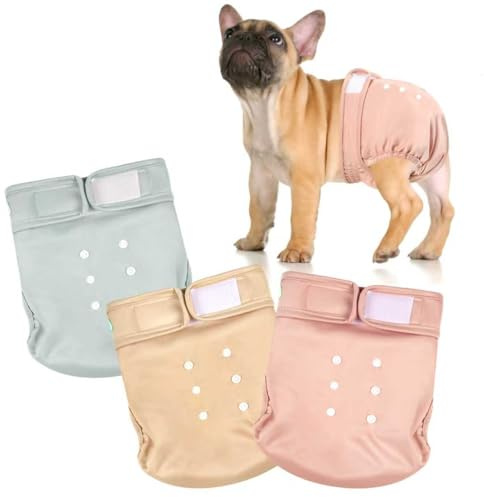 wegreeco Frenchie Dog Diapers Female No Tail Hole, Washable Pet French Puppy Bulldog Diapers Female for Period Heat, Reusable Doggy Doggie Dog Diapers（Large）
