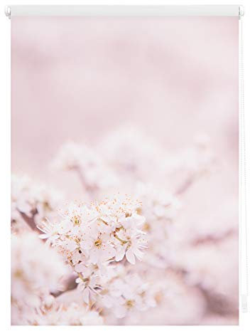 Lichtblick Klemmfix Verdunklungs-Rollo mit Motiv, ohne Bohren, Blickdicht, Seitenzugrollo, Made in Germany, Kirschblüten - Rosa Weiß 80 x 150 cm