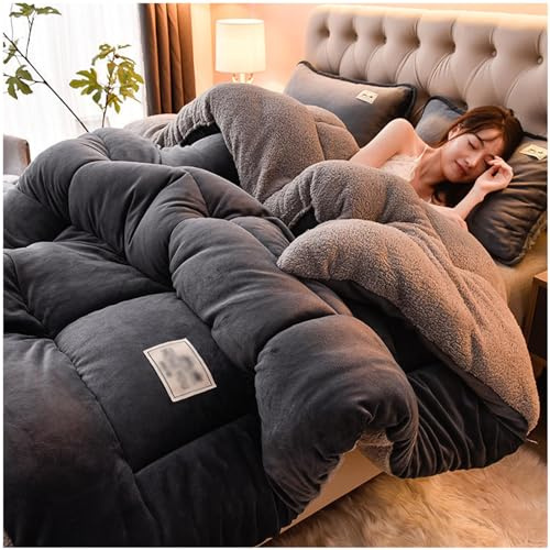 GOFOHIMI Édredon Chaud en Laine pour Hiver, Super Doux, Chaud et Confortable, Couverture Polaire Epaisse d'hiver, Sherpa Couette Réversible, Double Super Épaisseur Couette 2 Personne,220x240cm(5kg)