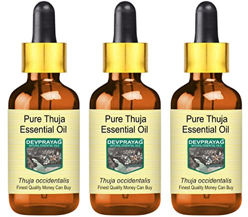 Devprayag Pure Thuja Essential Oil (Thuja occidentalis) with Glass Dropper Natural Therapeutic Grade Steam Distilled (Pack of Three) 100ml X 3 (10 oz)
