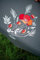 Vervaco Stickpackung Tischdecke Sticken Set Erwachsene Vorgedruckt Mohnblumen Stickdecken Vorgezeichnet Decke Sticken Stickpackung Plattstich 80 x 80 cm Stoff zum Sticken Kreatives Geschenk