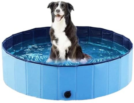 Piscina per cani per cani di piccola taglia Piscina in plastica per animali domestici Vasca per cani di piccola taglia Vasca da bagno per cani Piscina pieghevole portatile per cani Gatti Cuccioli
