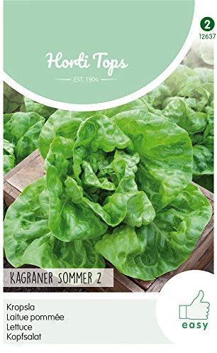 Hortitops 12637 Salade Kagraner Sommer (graines de laitue)