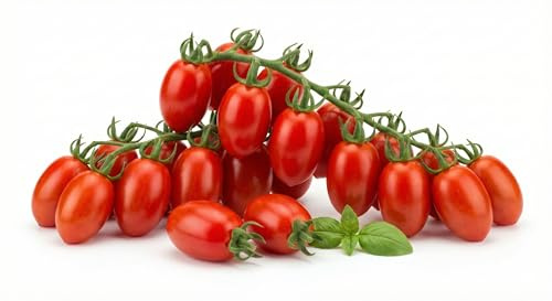 Semi Pomodorino Datterino Tomito F1 | Semi di Pomodoro Ibrido Produttivo ad Alta Germinazione | Ideali per Orto, Vaso e Serra | Varietà Dolce e Resistente