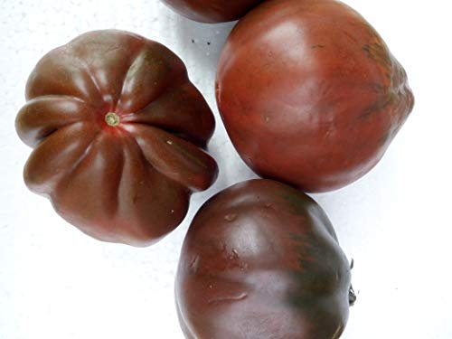 SEMI POMODORO CUORE DI BUE NERO