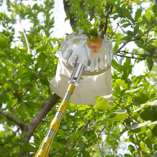 Recogedor de Frutas con Palo Telescopico 2-7M Recoge Frutas de Árboles, Recoge Frutas Telescopico con Palo Telescopico para Manzanas, Naranjas, Peras (Size : 4m(13.1ft))
