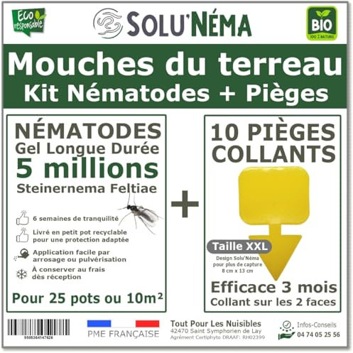 Kit Nématodes 5 Millions + 10 pièges Collants XXL - Contre Les Mouches du Terreau - Formulation Gel Longue Durée pour Traiter 25 Pots