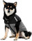 Hunde-Wintermantel - Hundejacke mit hohem Kragen, warme Hundeweste | Winddichte Weste für gut verarbeitete Hunde Schneeanzug Warme Hundejacke mit hohem Kragen für Ausflüge und
