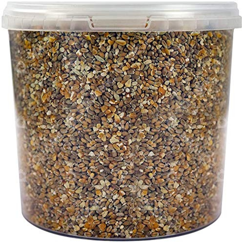 SQUAWK Mixed Poultry Corn | Premium Quality Natural Seed Feed Mixture | Rich in Vitamins and Calcium | Chicken Duck Geese Food | Helps Develop Strong Beaks, Tough Bones & Healthy Feathers (2.5L Tub)