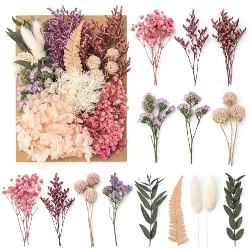 GWEOR Pack de Flores Secas Naturales, Flores Prensadas Reales para Resina Epoxi, Scrapbooking y Velas DIY, Material de Manualidades para Creación de Joyas y Decoración Floral (Modelo HCB03)