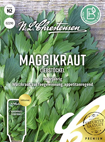 Maggikraut Liebstöckel Samen, Saatgut