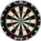 Seydrey 2024 Profi Dartscheibe Kork Dartscheibe Steeldart Dartscheibe mit Pfeilen Offizielles Steeldartscheibe Dartscheibe Steeldart Dartscheibe Set 12 Dartpfeile Metallspitze