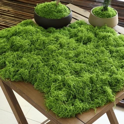 Helilyco Realistic Artificial Moss Grass Mat for Miniature Landscaping 2 pcs 200g Light & Dark Green Synthetic Turf for Terrariums Floral Arrangements Potted Plants