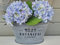Zinktopf mit Griffen Blumentopf Metall Botanic Garden Shabby Vintage 29x18x14 cm