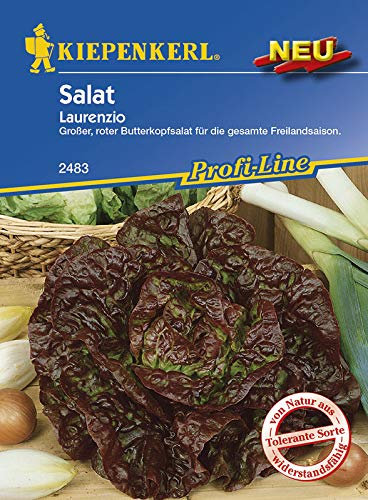 Kiepenkerl 2483 Salat Laurenzio (Salatsamen)