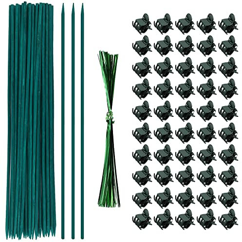 TSKDKIT Tuteurs pour Plantes 30 cm Tuteurs en Bois bâtons Support piquets de Jardin avec 50 Clips et Attaches torsadées, Support Tuteurs pour Plantes pour Jardin ou Maison