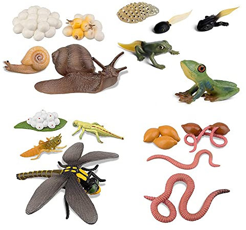 Joselin Life Cycle of Frog Snail, Earthworm, Dragonfly, Egg Burbot to Safariology, Amphibian Figures, Toy Kit, School Project